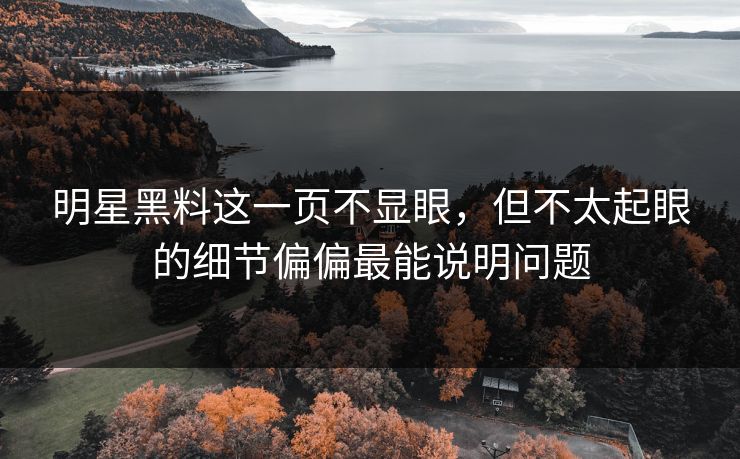 明星黑料这一页不显眼，但不太起眼的细节偏偏最能说明问题