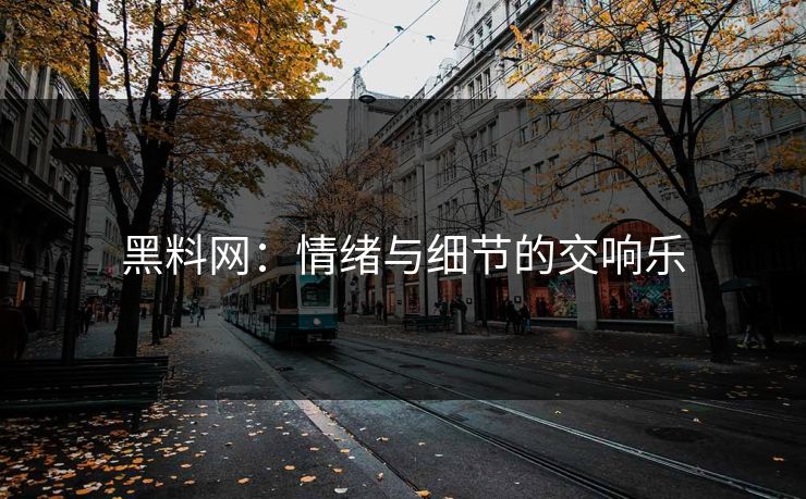 黑料网：情绪与细节的交响乐
